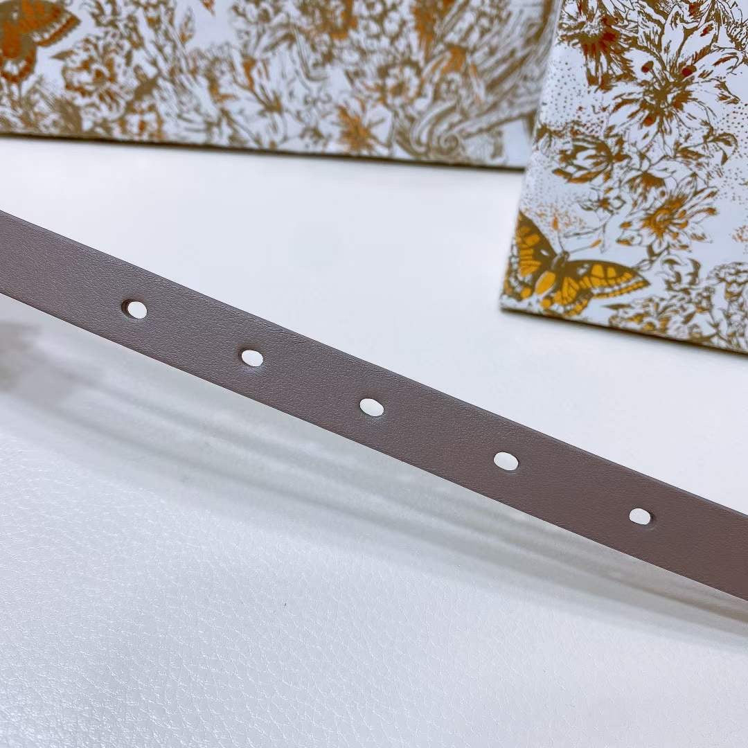 Dior Montaigne Loop Belt WB001212