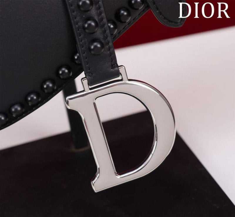 Dior Saddle Bag BG02385