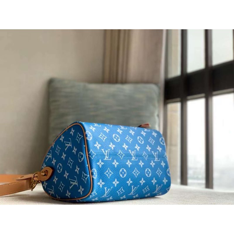 Louis Vuitton Speedy Hand Bag BG030507