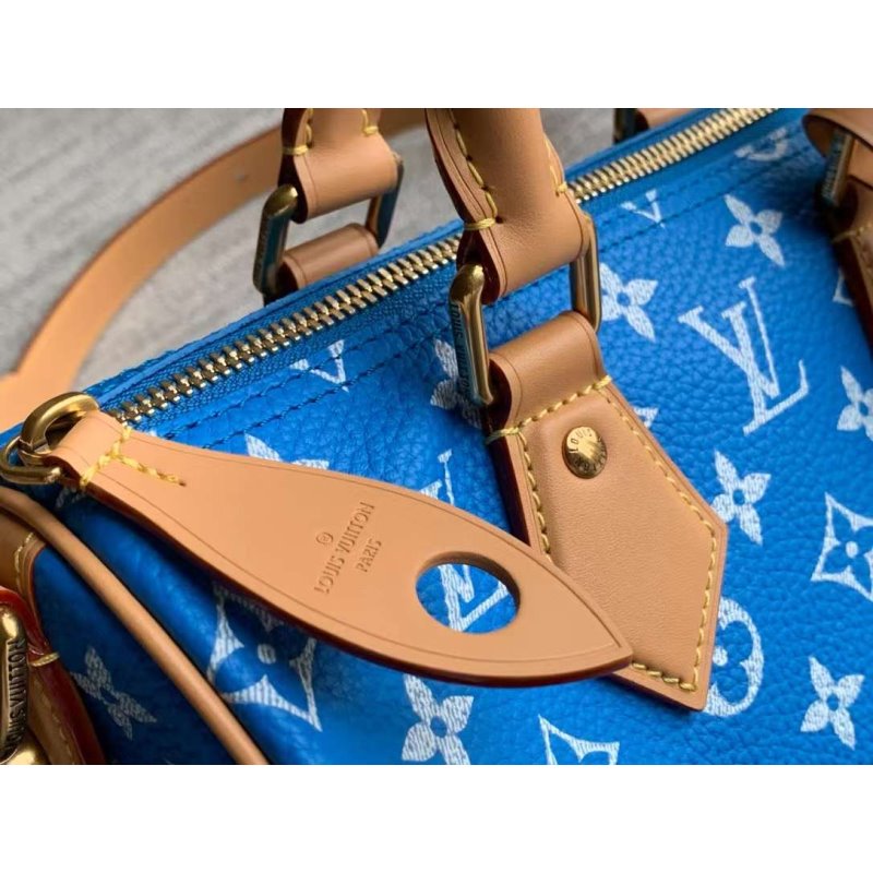 Louis Vuitton Speedy Hand Bag BG030507