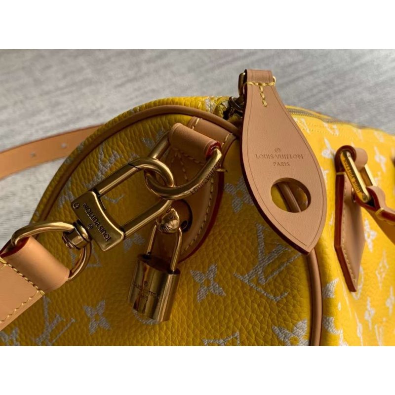 Louis Vuitton Speedy Hand Bag BG030508