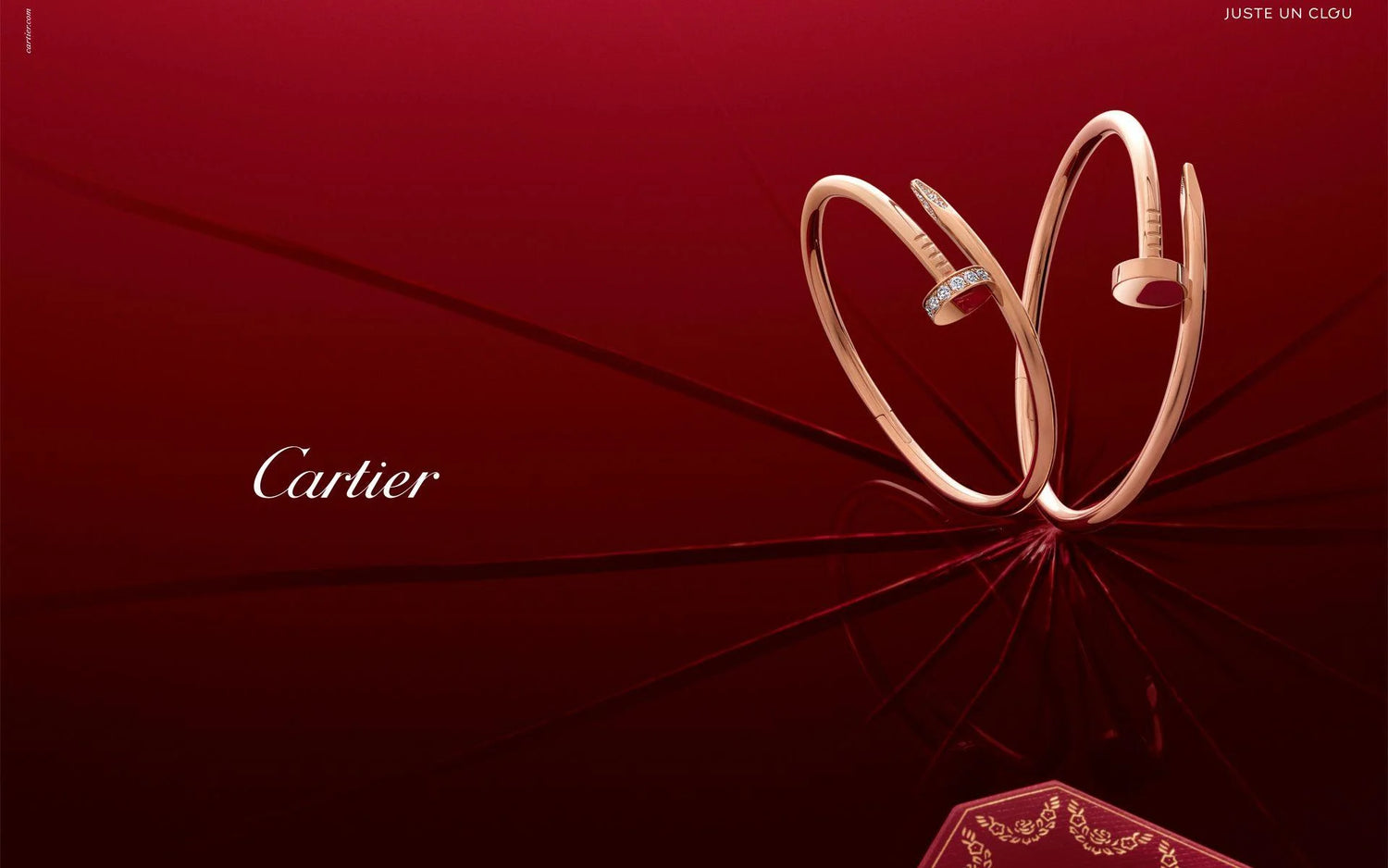 Cartier Accessories