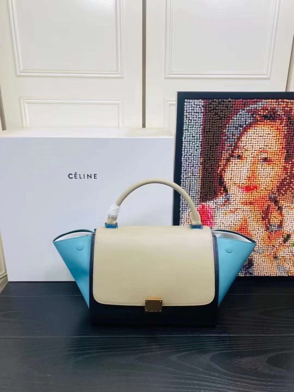 Celine Swing Bag BG02559