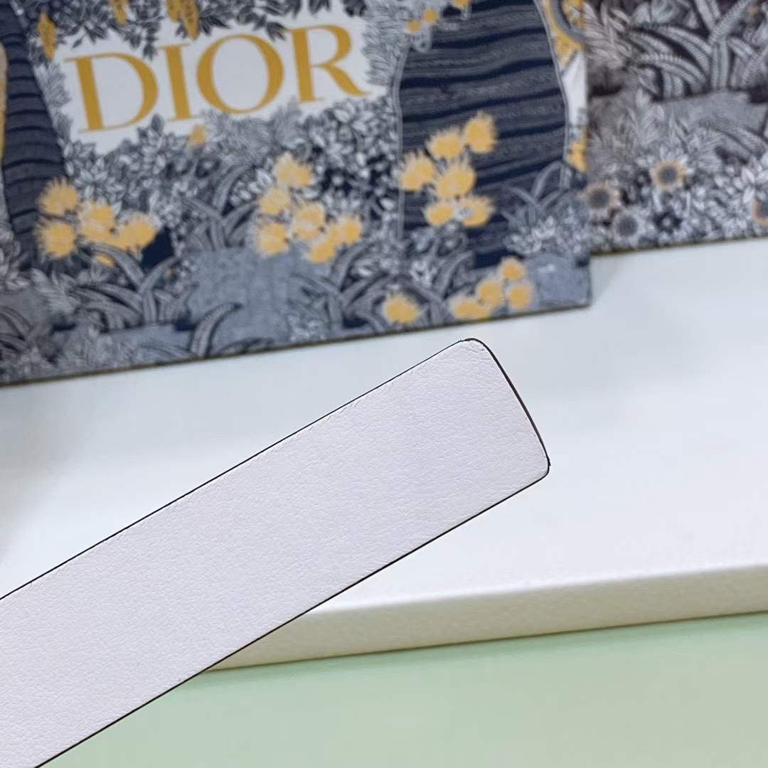 Dior Montaigne CD Belt WB001219