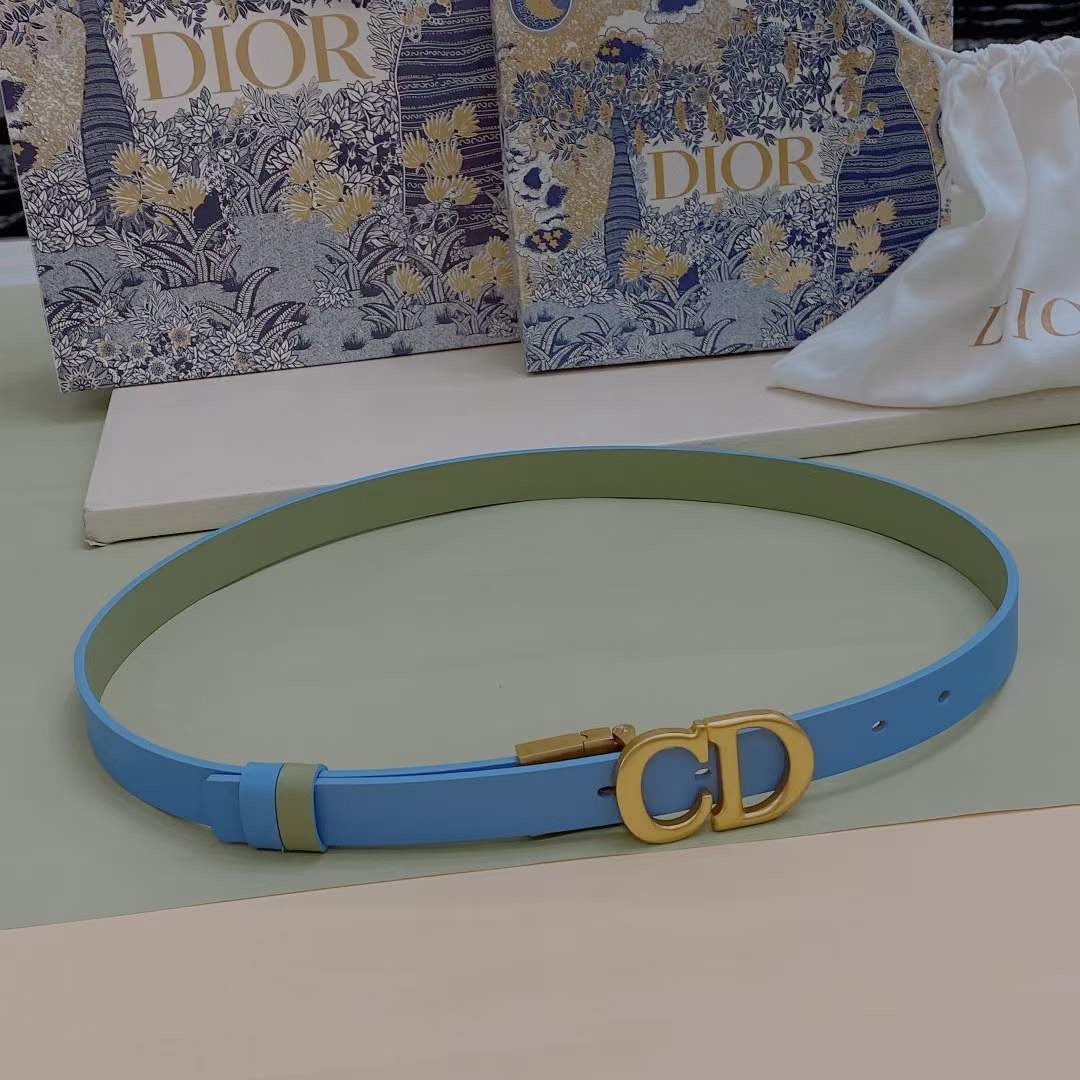 Dior Montaigne CD Belt WB001225