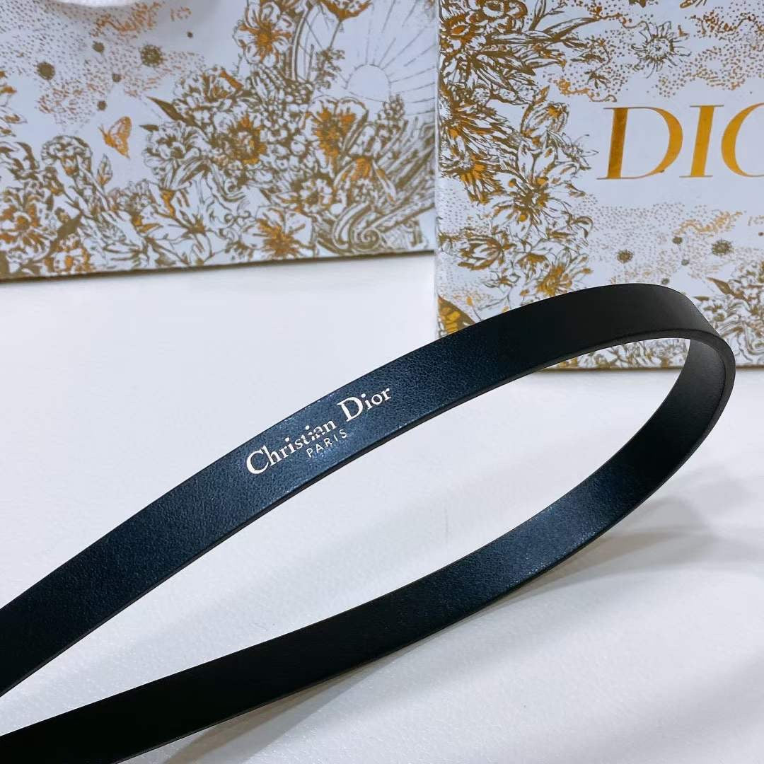 Dior Montaigne Loop Belt WB001210