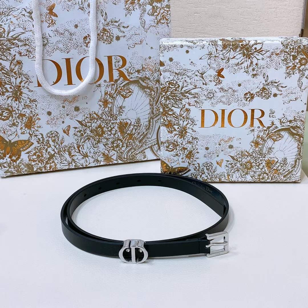 Dior Montaigne Loop Belt WB001211