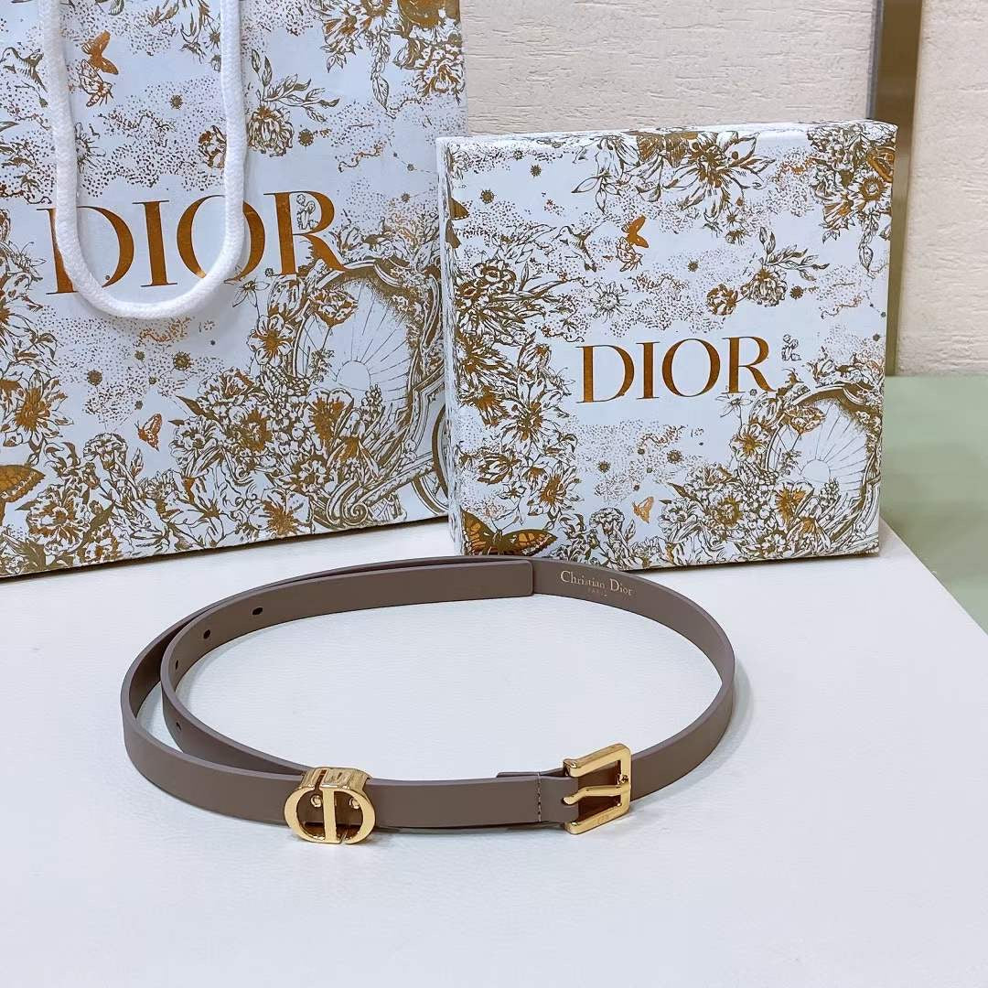 Dior Montaigne Loop Belt WB001212