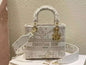 Dior Lady D Lite Hand Bag BG02331