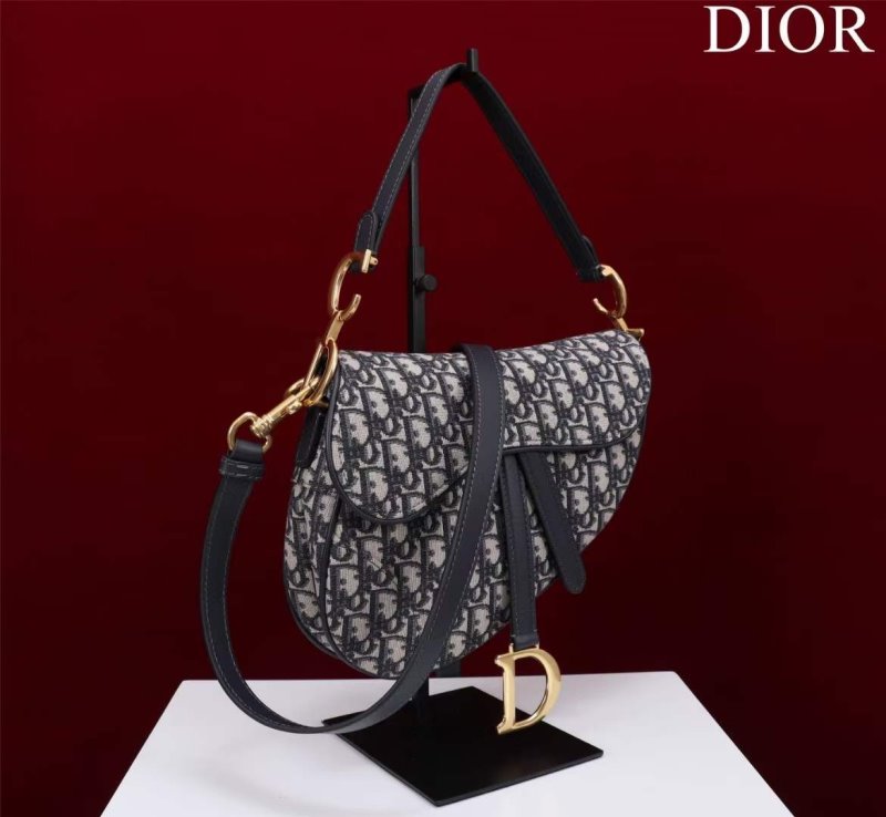 Dior Saddle Bag BG02359