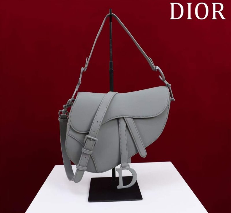 Dior Saddle Bag BG02363