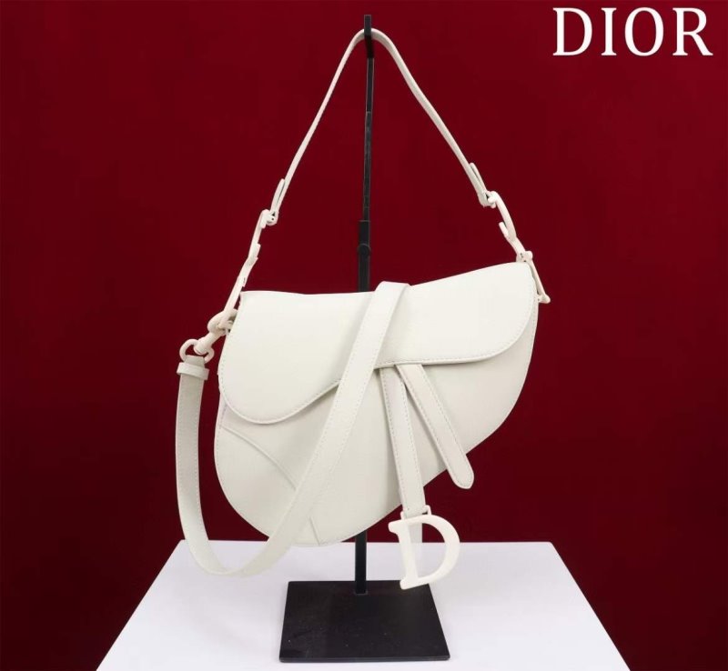 Dior Saddle Bag BG02364