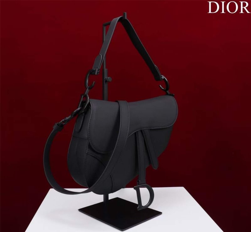 Dior Saddle Bag BG02365