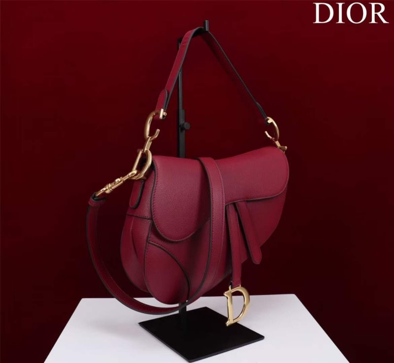 Dior Saddle Bag BG02366