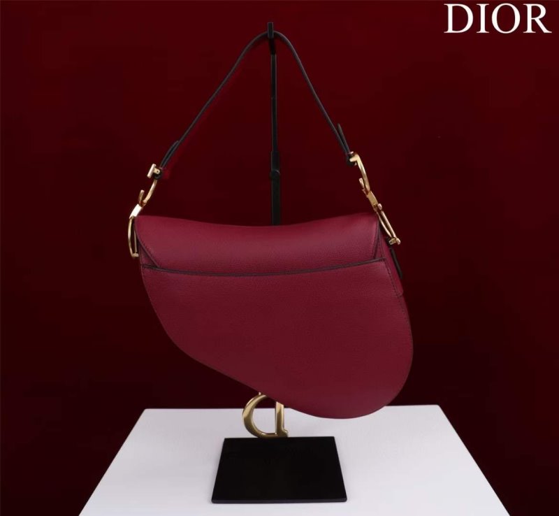 Dior Saddle Bag BG02366