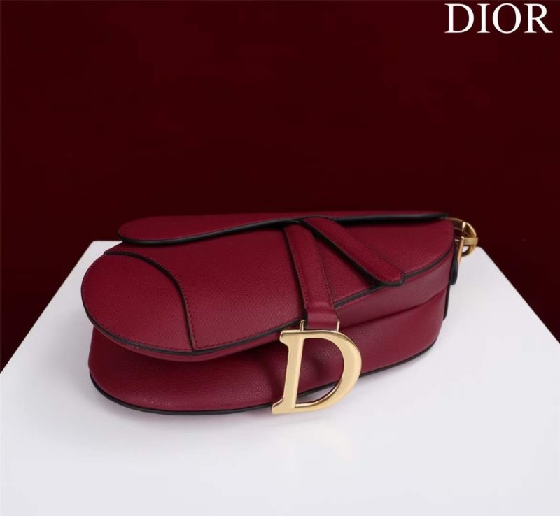 Dior Saddle Bag BG02366