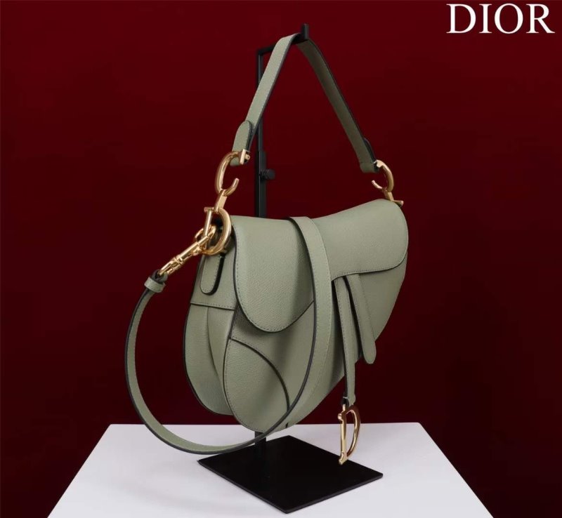 Dior Saddle Bag BG02367