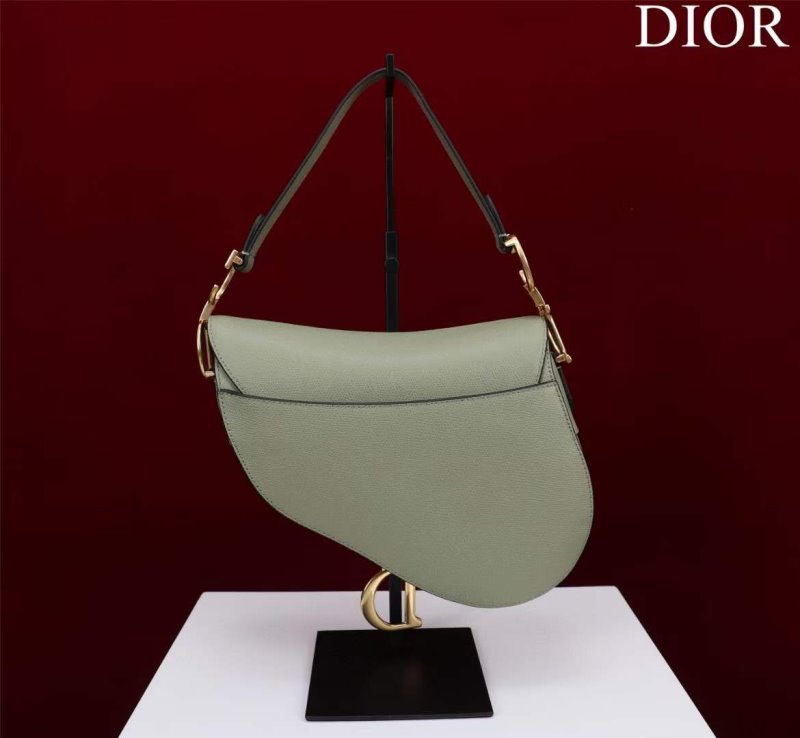 Dior Saddle Bag BG02367