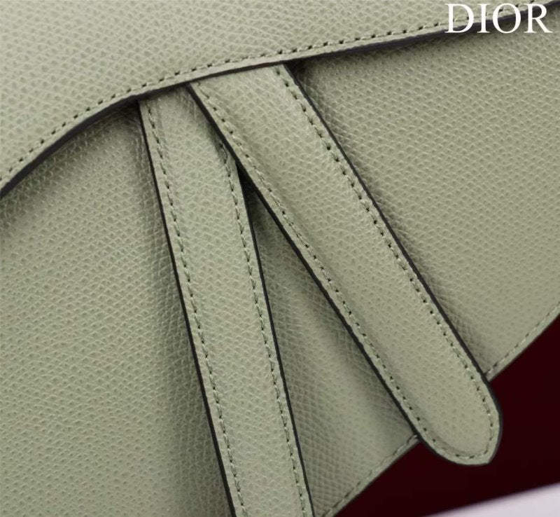 Dior Saddle Bag BG02367