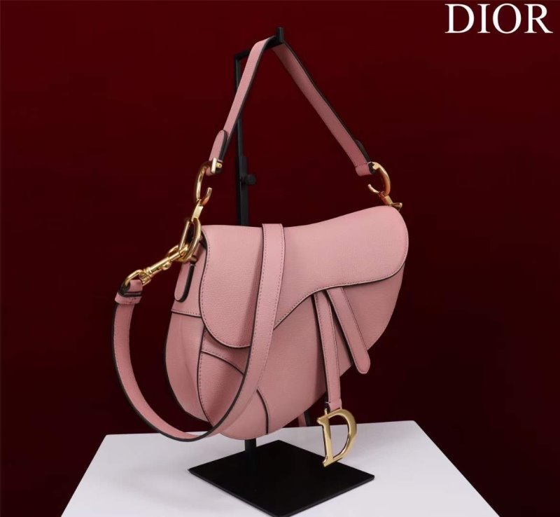 Dior Saddle Bag BG02368