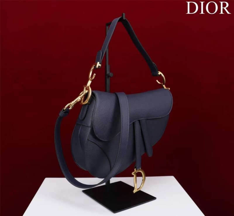 Dior Saddle Bag BG02369