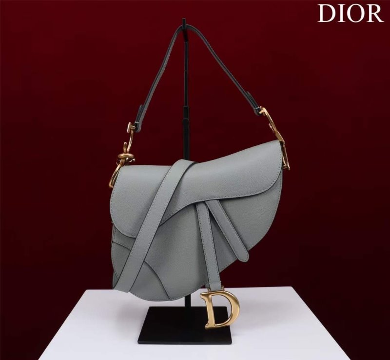 Dior Saddle Bag BG02370