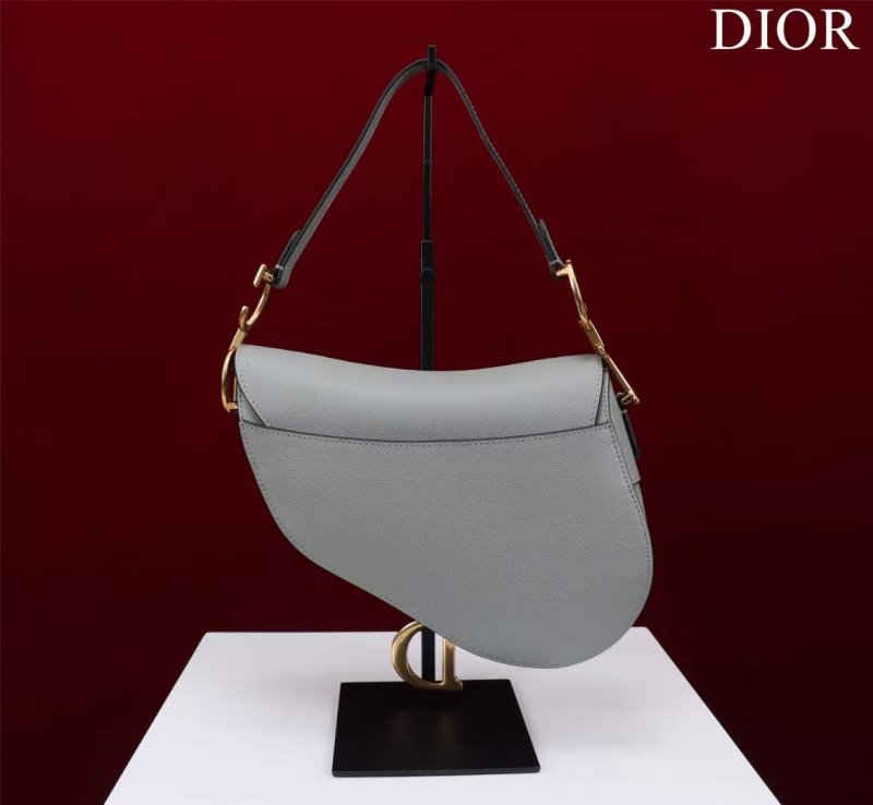 Dior Saddle Bag BG02370