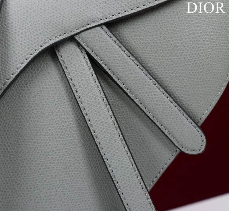 Dior Saddle Bag BG02370