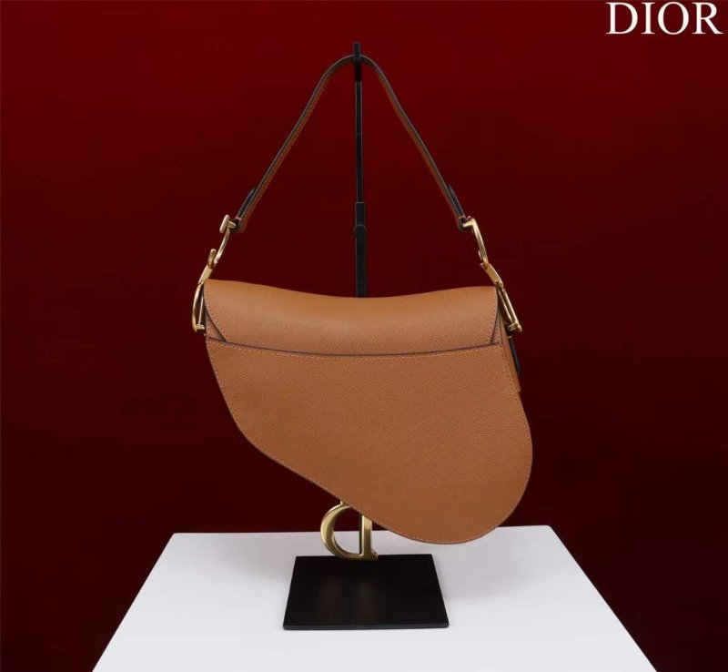 Dior Saddle Bag BG02371