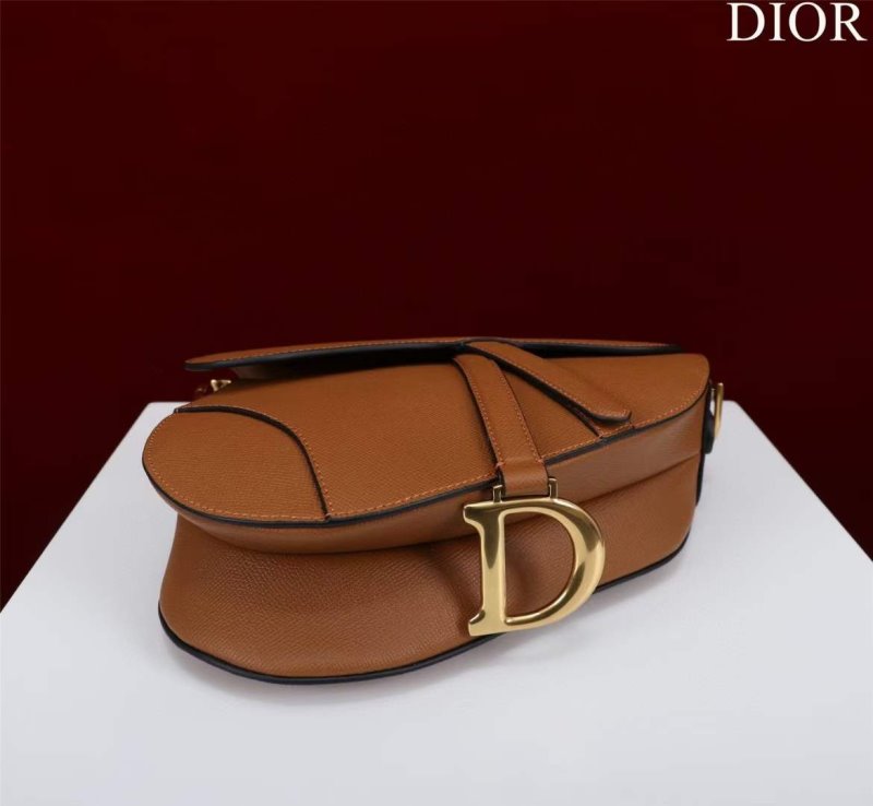 Dior Saddle Bag BG02371