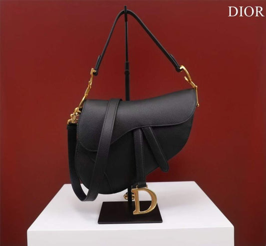 Dior Saddle Bag BG02372