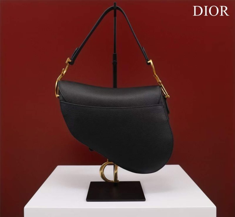 Dior Saddle Bag BG02372