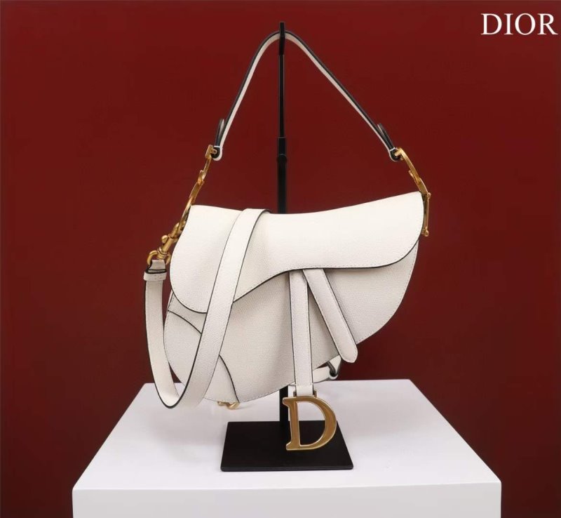 Dior Saddle Bag BG02373