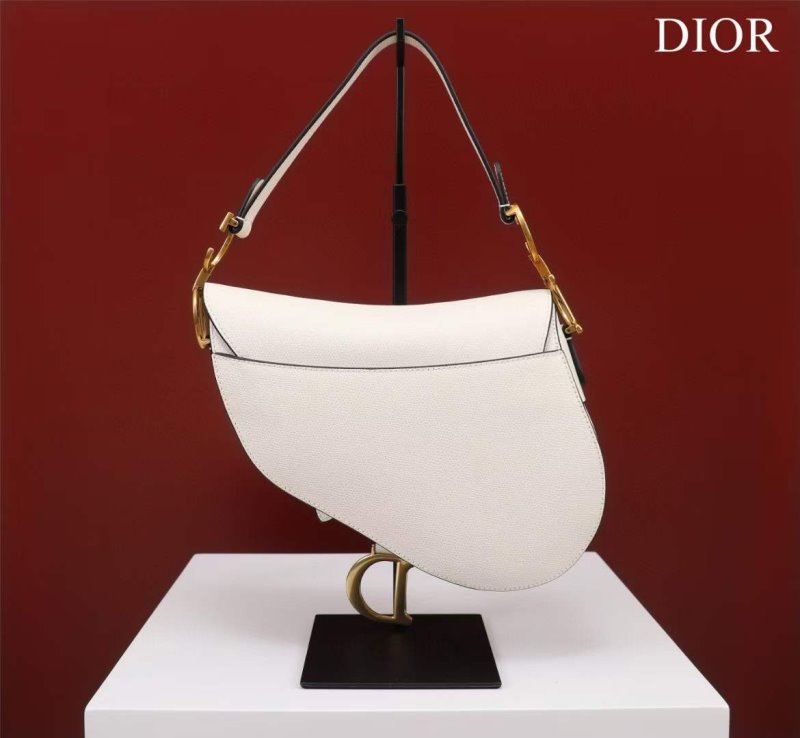 Dior Saddle Bag BG02373