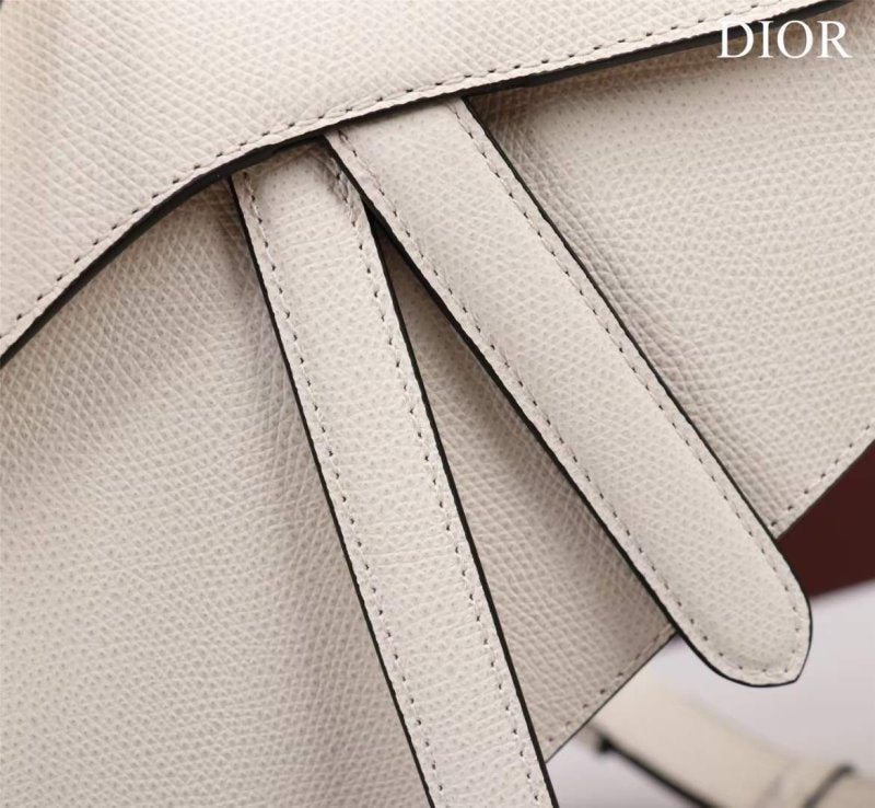 Dior Saddle Bag BG02373