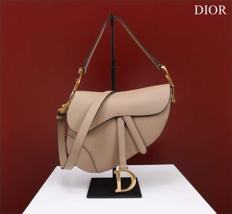 Dior Saddle Bag BG02374