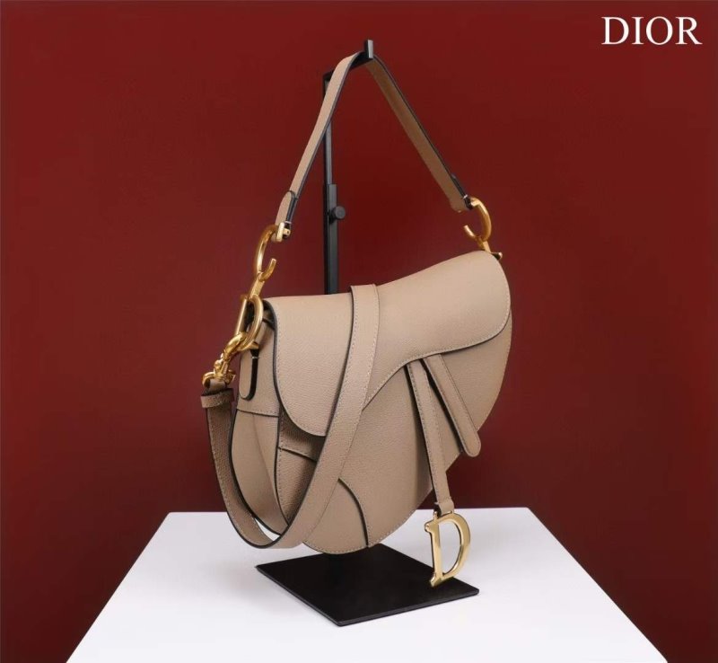 Dior Saddle Bag BG02374