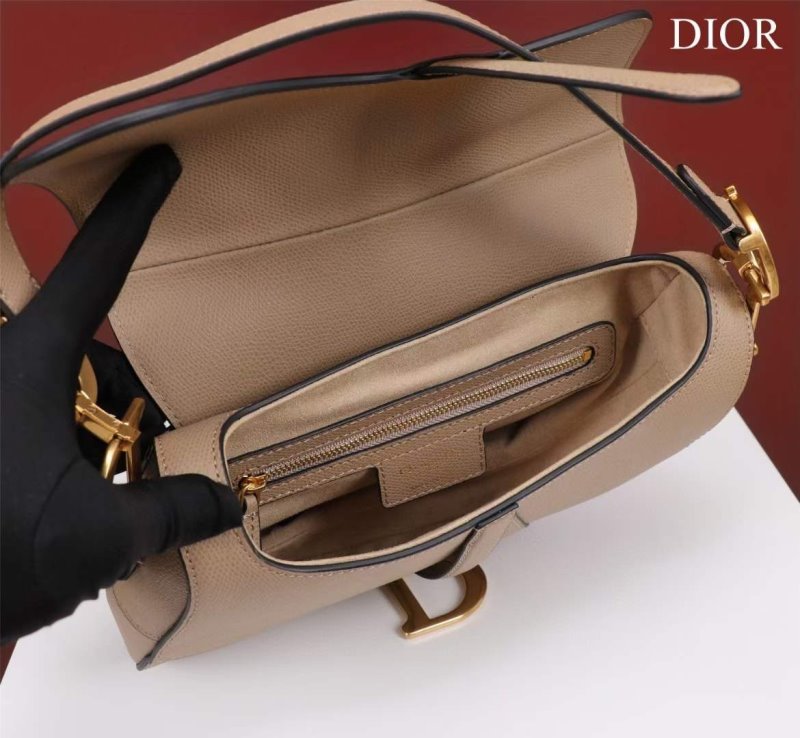 Dior Saddle Bag BG02374