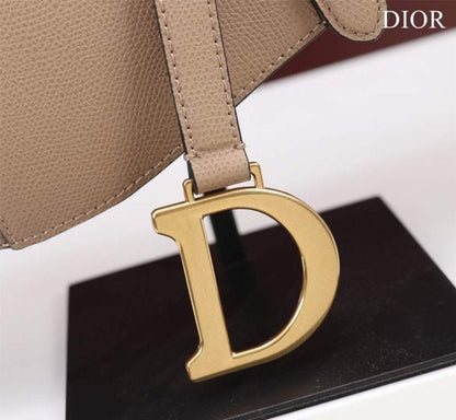 Dior Saddle Bag BG02374