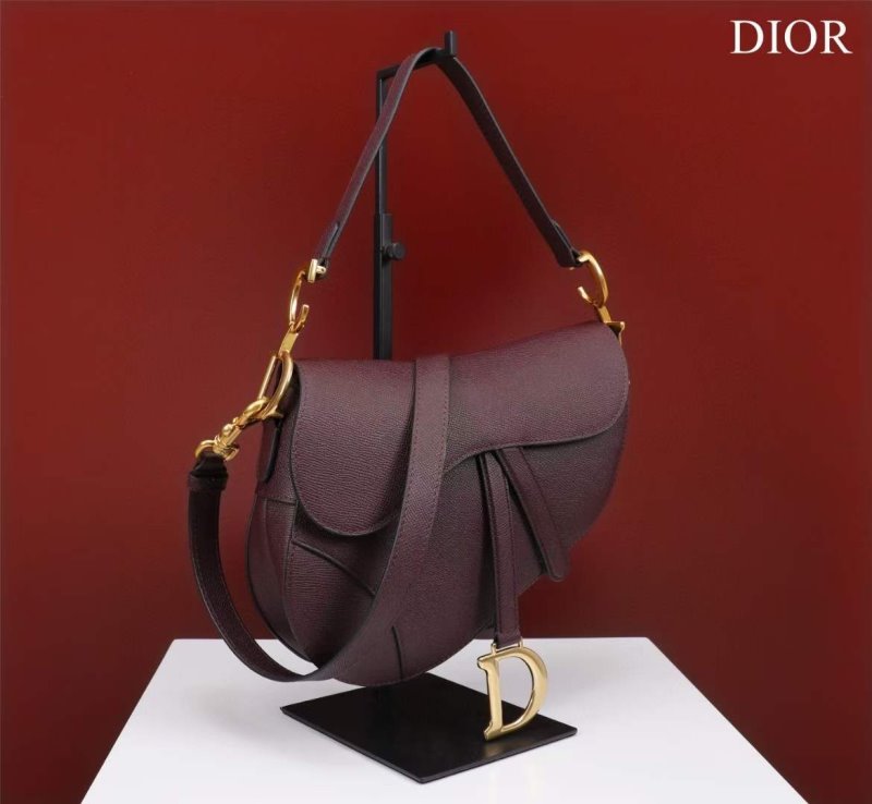 Dior Saddle Bag BG02375