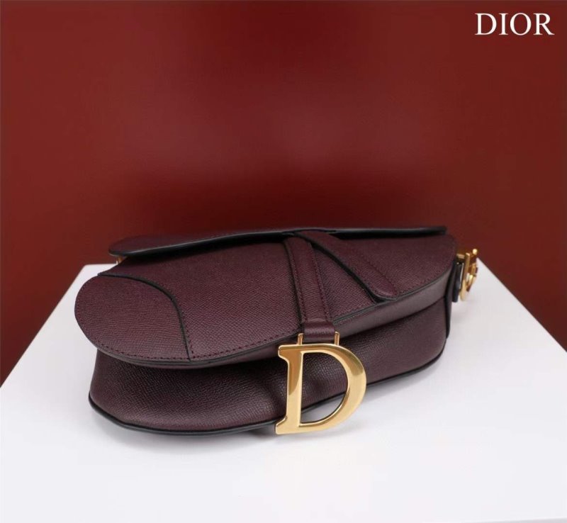 Dior Saddle Bag BG02375