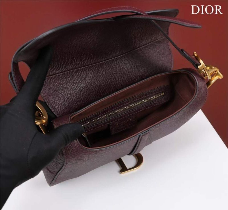 Dior Saddle Bag BG02375