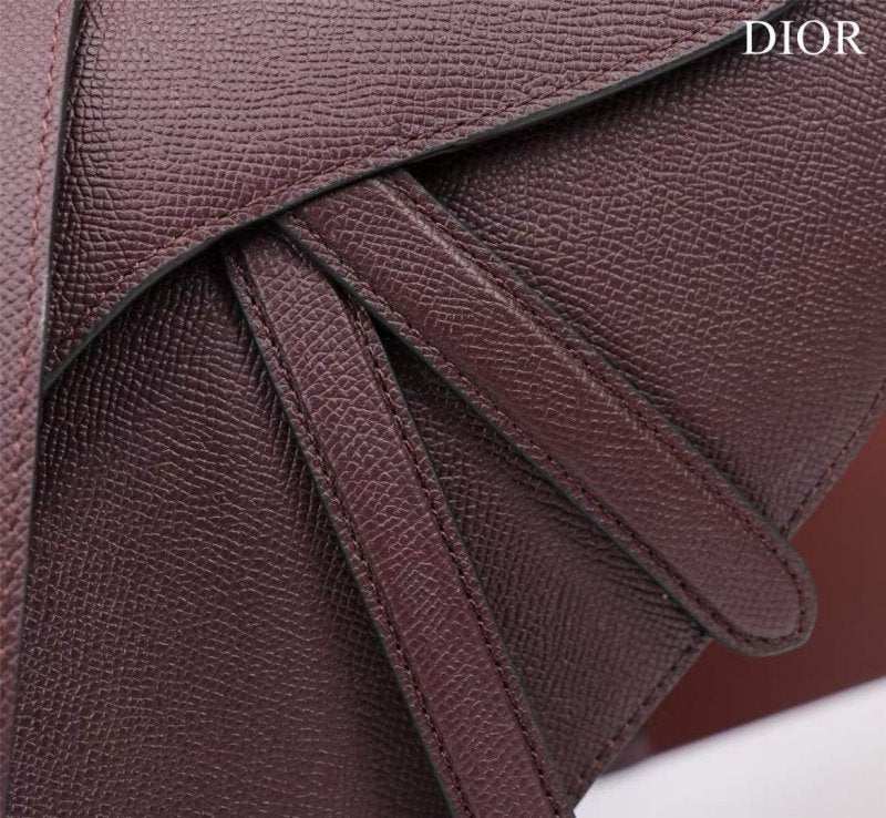 Dior Saddle Bag BG02375