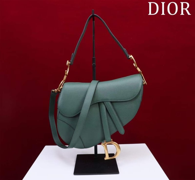 Dior Saddle Bag BG02376