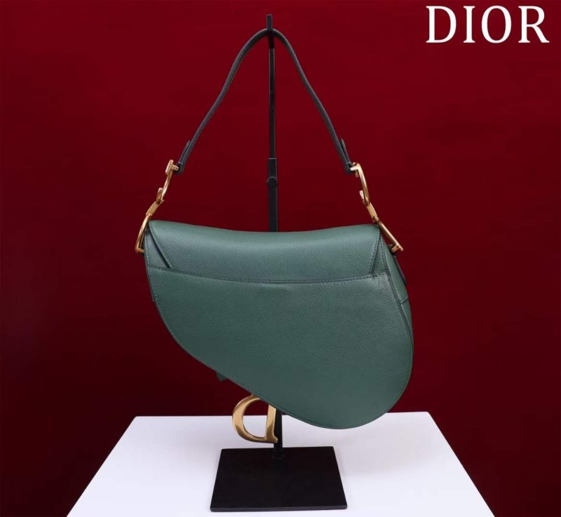 Dior Saddle Bag BG02376