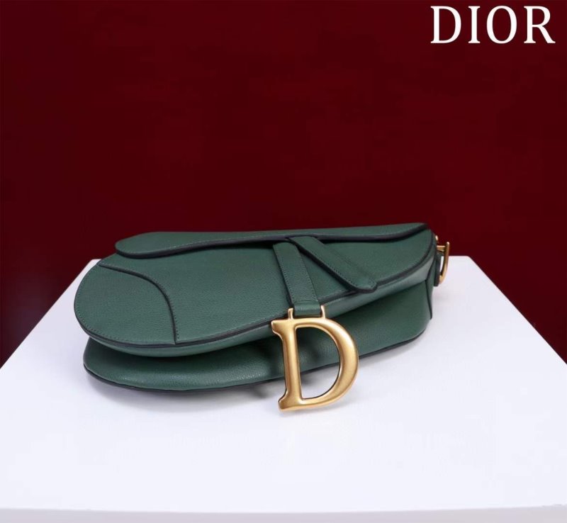 Dior Saddle Bag BG02376