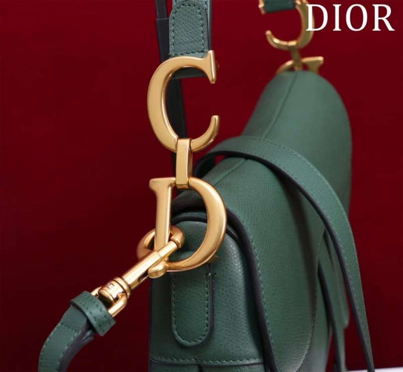 Dior Saddle Bag BG02376