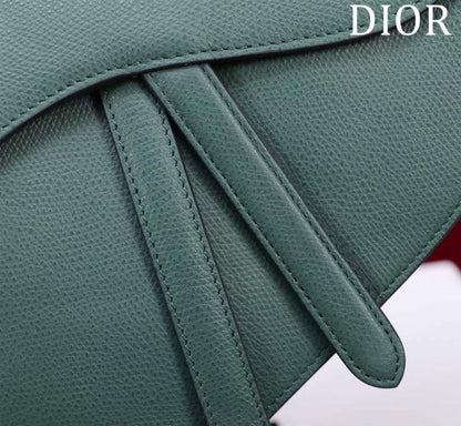 Dior Saddle Bag BG02376