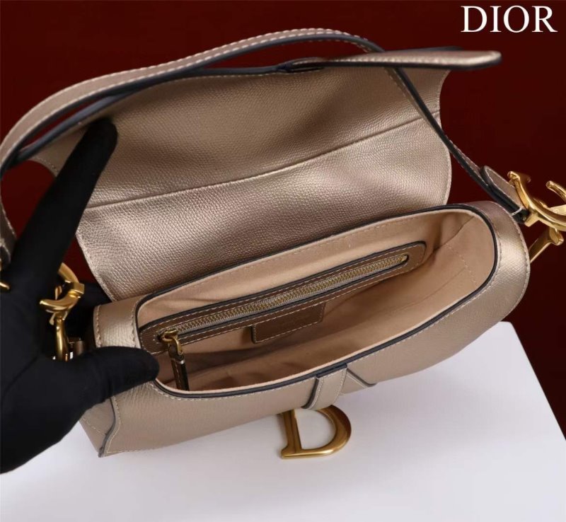 Dior Saddle Bag BG02377