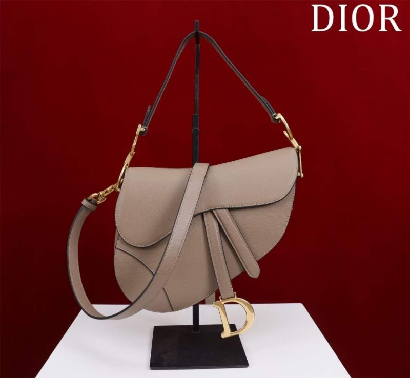 Dior Saddle Bag BG02378